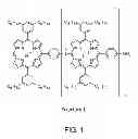 Fig. 02 - Soluble porphyrin polymers