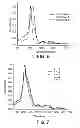 Fig. 06 - Soluble porphyrin polymers
