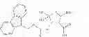 Fig. 02 - Synthesis of glucagon-like peptide