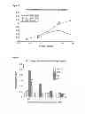 Fig. 07 - HUMANIZED ANTI-EGFL7 ANTIBODIES AND METHODS USING SAME