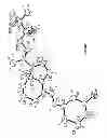 Fig. 02 - Crystallization of (20R) 19-nor-24-difluoro-1α,25-dihydroxyvitamin D