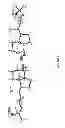 Fig. 04 - Crystallization of (20R,22R)-2-methylene-19-nor-22-methyl-1α,25-dihydroxyvitamin Dand related precursors