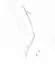 Fig. 02 - APPLICABLE DEVICE FOR HEALING INJURIES WITH MAGNETIC FIELDS