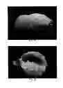 Fig. 02 - Spray foam splint
