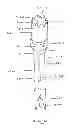 Fig. 10 - Devices and methods for gastrointestinal bypass