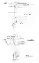 Fig. 27 - Devices and methods for gastrointestinal bypass