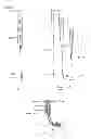 Fig. 31 - Devices and methods for gastrointestinal bypass