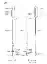 Fig. 35 - Devices and methods for gastrointestinal bypass