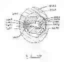 Fig. 40 - Devices and methods for gastrointestinal bypass