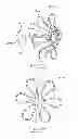 Fig. 63 - DEVICES AND METHODS FOR GASTROINTESTINAL BYPASS