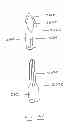 Fig. 40 - Devices and methods for gastrointestinal bypass