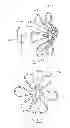 Fig. 63 - Devices and methods for gastrointestinal bypass