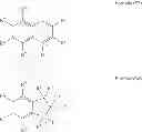 Fig. 28 - Device and method for treatment of cells and cell tissue