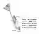 Fig. 01 - Pre-Filled Safety Applicator for Otic Medication