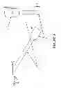 Fig. 02 - LASER THERAPY