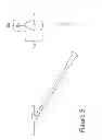 Fig. 06 - LASER THERAPY