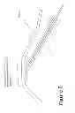 Fig. 07 - LASER THERAPY