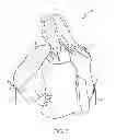 Fig. 06 - Convertible garment