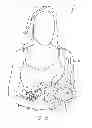 Fig. 09 - Convertible garment