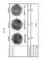 Fig. 10 - Substrate processing apparatus