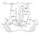 Fig. 01 - PERINEUM OVERLAY DEVICE