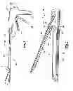 Fig. 02 - Staple cartridge comprising a staple driver arrangement