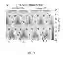 Fig. 10 - GAAS/INGAAS AXIAL HETEROSTRUCTURE FORMATION IN NANOPILLARS BY CATALYST-FREE SELECTIVE AREA MOCVD