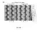 Fig. 13 - GAAS/INGAAS AXIAL HETEROSTRUCTURE FORMATION IN NANOPILLARS BY CATALYST-FREE SELECTIVE AREA MOCVD