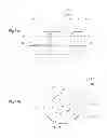 Fig. 10 - METHOD OF MANUFACTURING MAGNETIC ELEMENT AND MAGNETIC ELEMENT
