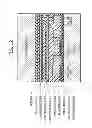 Fig. 22 - Display device, driving method thereof, and electronic apparatus