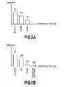 Fig. 07 - IMAGE PROCESSING APPARATUS AND IMAGE PROCESSING METHOD