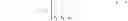 Fig. 16 - Motion-based image stitching