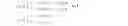 Fig. 07 - Method for multiplexing data for multiple wireless transmit/receive units for high speed downlink channels