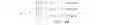 Fig. 08 - Method for multiplexing data for multiple wireless transmit/receive units for high speed downlink channels