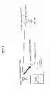Fig. 02 - Radio communication apparatus and method