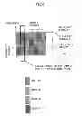 Fig. 09 - Radio communication apparatus and method