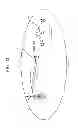 Fig. 33 - Transmission of uplink sounding reference signal