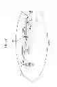 Fig. 35 - Transmission of uplink sounding reference signal