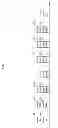 Fig. 07 - Channel state information transmission/reception method and apparatus for use in wireless communication system