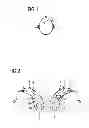 Fig. 02 - Method of focusing a hearing instrument beamformer