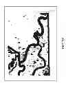 Fig. 04 - Boundary extraction method