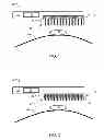 Fig. 02 - System and method for damaging parasites