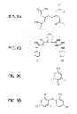 Fig. 09 - System and method for damaging parasites