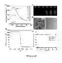 Fig. 40 - Multicolored pH-activatable fluorescence nanoplatform