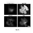 Fig. 59 - Multicolored pH-activatable fluorescence nanoplatform