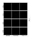 Fig. 71 - Multicolored pH-activatable fluorescence nanoplatform