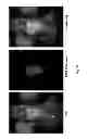 Fig. 75 - Multicolored pH-activatable fluorescence nanoplatform
