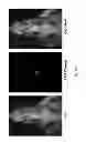 Fig. 77 - Multicolored pH-activatable fluorescence nanoplatform