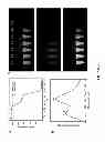 Fig. 78 - Multicolored pH-activatable fluorescence nanoplatform