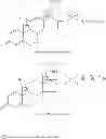 Fig. 02 - Pharmaceutical Compositions